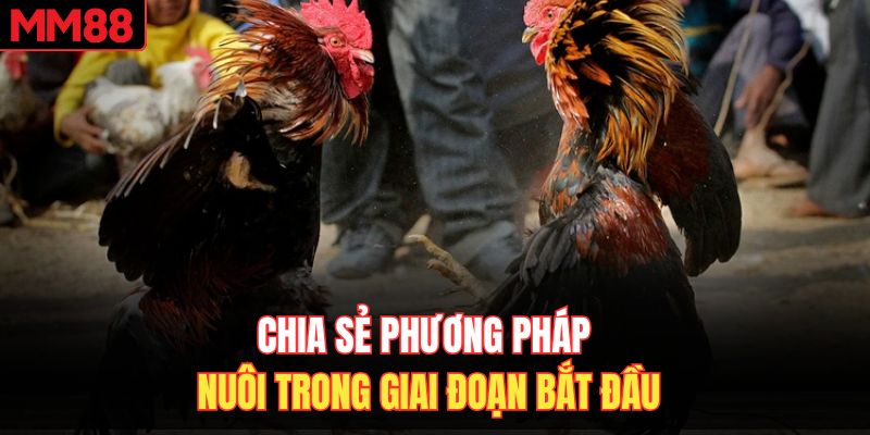 Chia sẻ phương pháp nuôi trong giai đoạn bắt đầu 