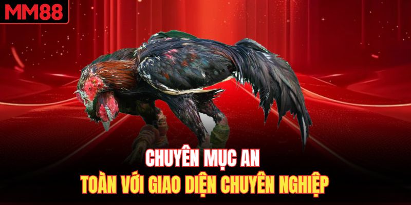 Chuyên mục an toàn với giao diện chuyên nghiệp