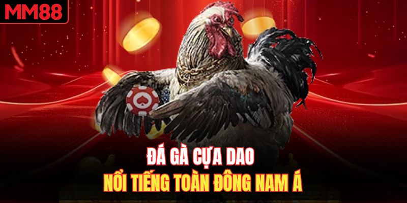 Đá gà cựa dao nổi tiếng toàn Đông Nam Á