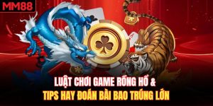 Luật Chơi Game Rồng Hổ & Tips Hay Đoán Bài Bao Trúng Lớn