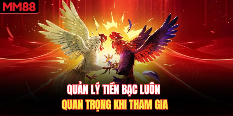 Quản lý tiền bạc luôn quan trọng khi tham gia 